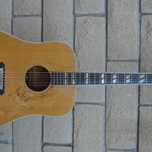 1960's Lyle 690-DL Dove Rosewood Acoustic Guitar | Reverb