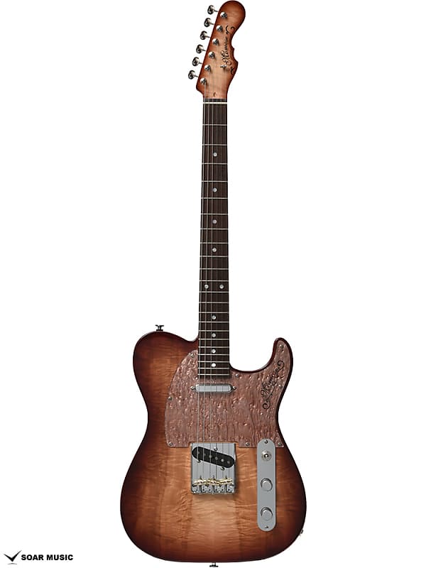 Momose MT-TOCHI-SP22/NJ 2022 NA/BR-B Guitar