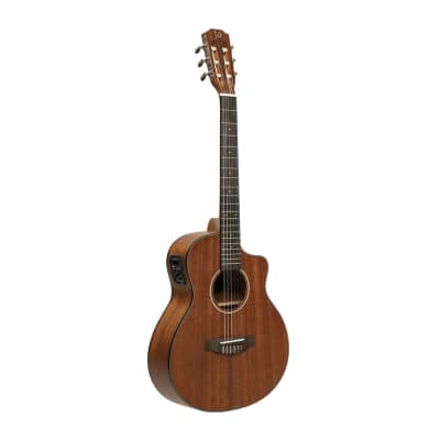 JN Guitars Guitars Electric-Classical Guitar With Sapelli Top, Oloroso Series Olo-Ce N for sale