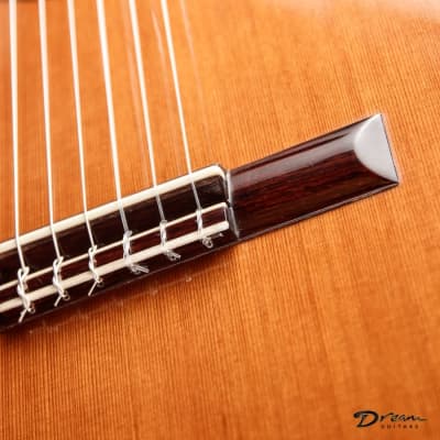 1995 Paris Banchetti Concert Classical, Brazilian Rosewood/Cedar image 16