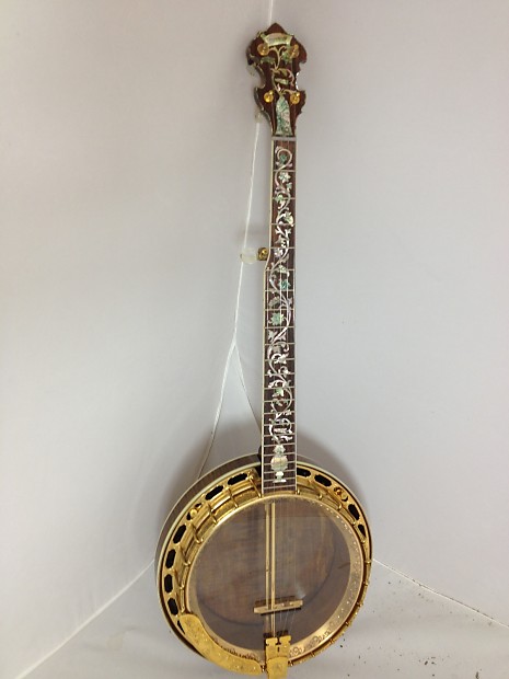 Fancy banjo hot sale