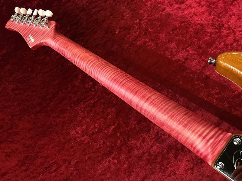 T’s guiters DST-24 order T's guiters DST-24 order T's Guitars DST-Pro 24 Custom Whale