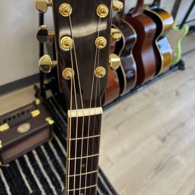 Zager ZAD-900CE/AURA/VCS 2023 - Gloss image 3
