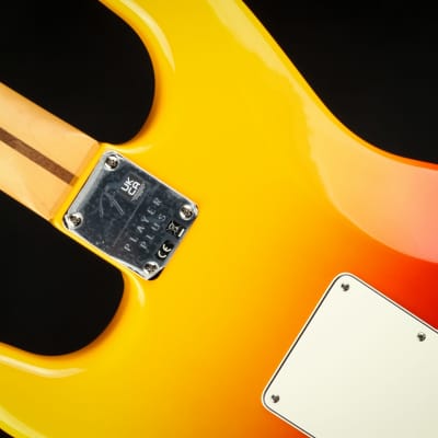 Fender Player Plus Stratocaster, Maple Fingerboard - Tequila Sunrise (Brand New) image 12