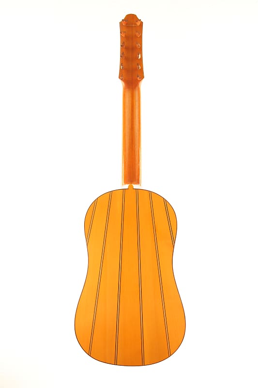 Dieter Hense Vihuela 1976 - most amazing handmade