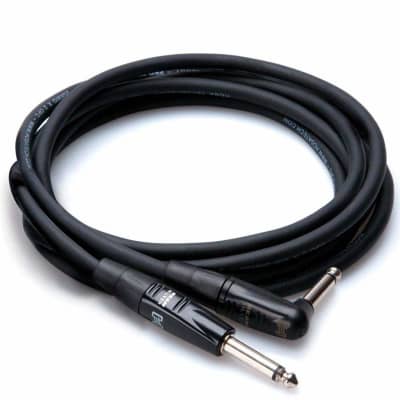 Hosa REAN Straight to Right Angle Pro Guitar Cable 10 Feet Free Shipping image 1