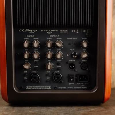 Immagine LR Baggs Synapse Personal PA System - 4