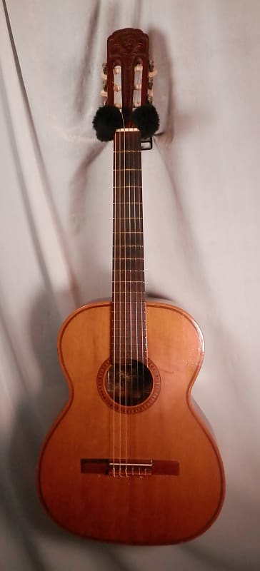 Giannini AWNM21 Classical Nylon String Acoustic Guitar | Reverb