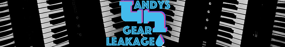 Andy's Gear Leakage