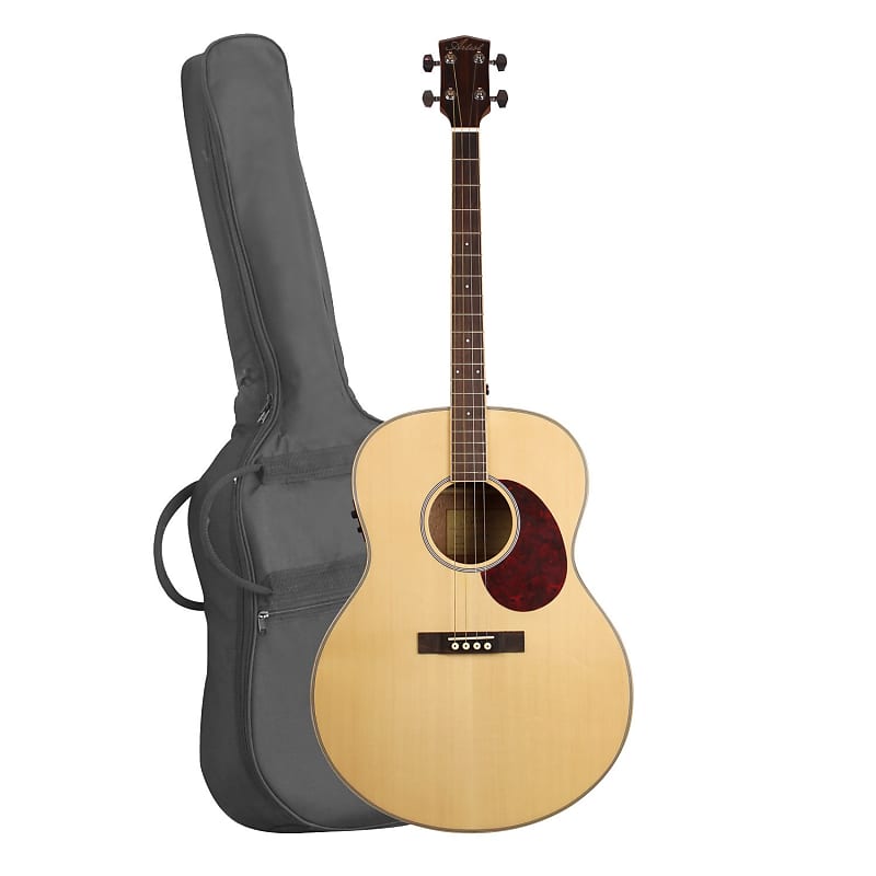 Artist TG100EQ Solid Top Tenor Acoustic Guitar w/ Fishman Presys II image 1
