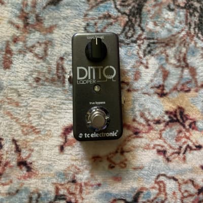 TC Electronic Ditto Looper | Reverb Canada