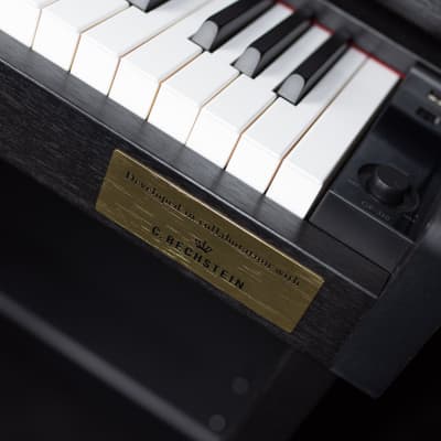 Casio Celviano GP-310 Grand Hybrid Piano image 3
