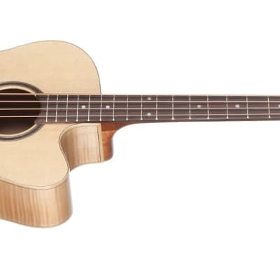 Teton STB130FMCENT Acoustic-Electric Bass, Solid Sitka Spruce Top image 9