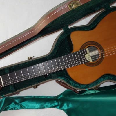 BLACK FRIDAY SALE Bartolex SRC7CEL Classical 7-String Harp Guitar w/Cutaway, Fishman Presys Pickup! image 22
