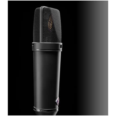 Neumann U87Ai Large-Diaphragm Condenser Microphone with Shock Mount, Case and Cable, Black image 3