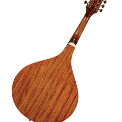 Gold Tone Mandola  w/ Bag image 3