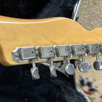 1981 Fender - Bullet - ID 3763 image 19
