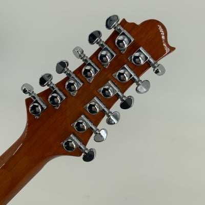 Samick Greg Benett Design 12 String Acoustic Guitar Model D-2-12 image 4