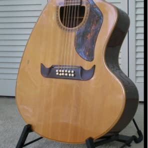 Giannini GWSCRA12-P Craviola - Led Zepplin Jimmy Page Guitar image 3