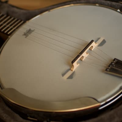 Gold Tone GT-Series AC-5 Banjo image 4