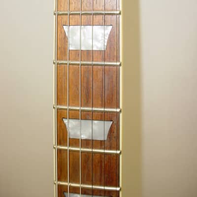 Agile AL-2000 Electric Guitar with Fernandes FRT Locking Tremolo System Gloss Black image 7