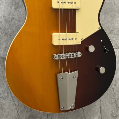 ALEMBIC Distillate Guitar made in 1981 [SN 81 0073 USA] [11