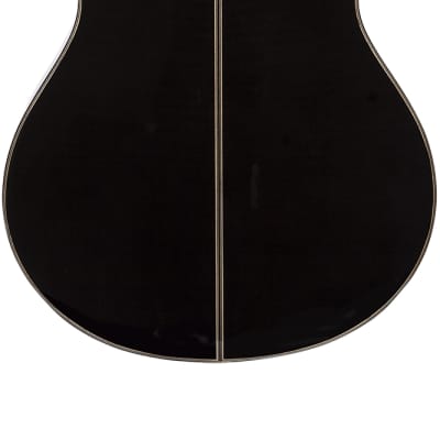 Aria A 48CE 2024 see-through black image 2