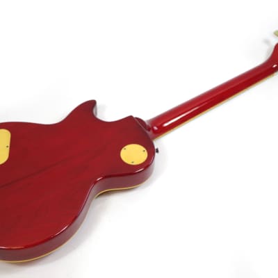 Brian by Bacchus Live Road Model Les Paul Standard Type
