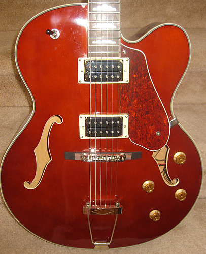Douglas hollow body guitar top