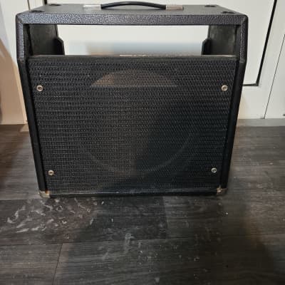 Mesa Boogie Mark II B 2-Channel 60-Watt 1x12