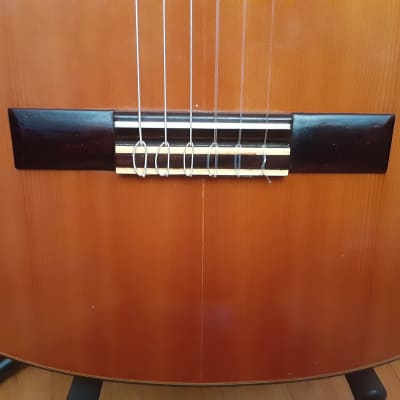 Vintage J. Watson & Co Classical Nylon String Guitar G150, MIJ image 6