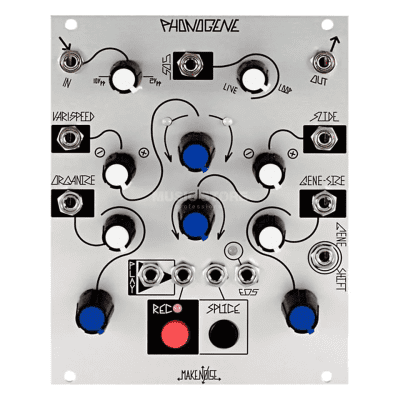 Make Noise Phonogene Module | Reverb