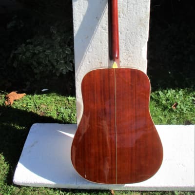 Washburn Artwood  Aw-10  Guitar, 2000 , Natural Finish,  Plays & Sounds Good image 4