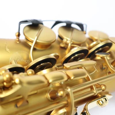 Freeshipping! H.Selmer 【Limited model】 Supreme Modele 2022 Alto saxophone image 10