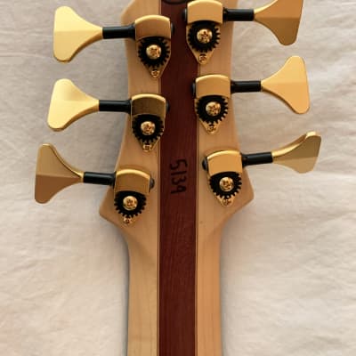 Roscoe Signature 6 Bass 6 String Fretless Burled Top Like New Burled Top image 8