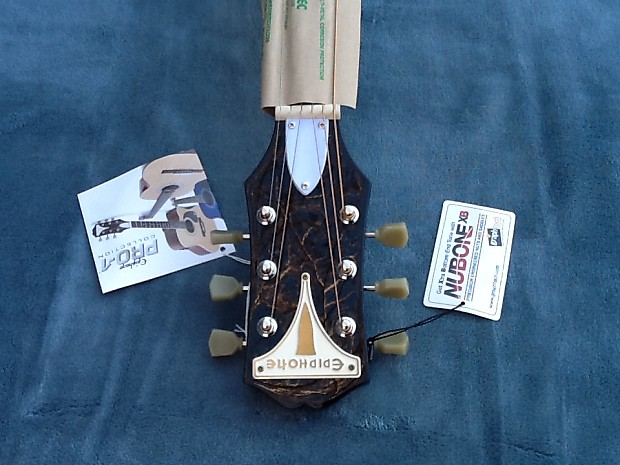 Epiphone PRO-1 TL Epiphone PRO-1 TL