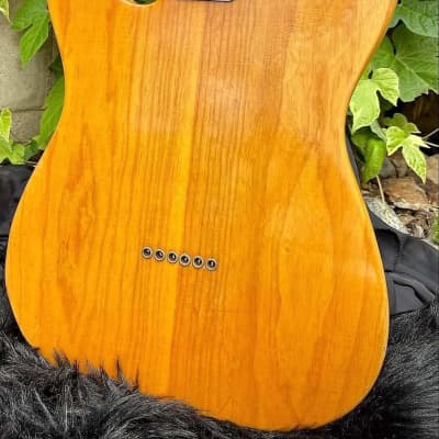 Mike Bloomfield's 1968/69 Fender Telecaster Thinline with Docs image 5