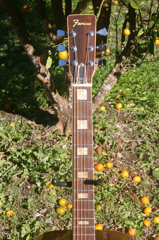 1970's Suzuki Famous W400 Brazilian Rosewood by Kiso Suzuki