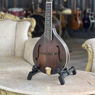 Gold Tone Model GM-A+ 8 String Rigel A-Style Mandolin, Solid Maple - NEW |  Reverb Cyprus