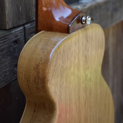 Bright Guitars BearCub™ mini archtop guitar image 4