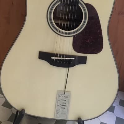 Takamine GD10 NS image 1