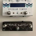 GFI System Specular Tempus 2010s White reverb and Delay (with triple switch)