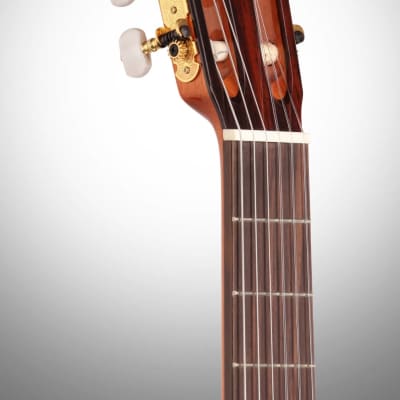 Cordoba C5 Classical Acoustic Guitar image 8