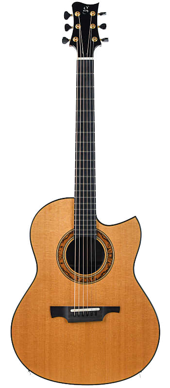 Greenfield  Gf 2015 indian rosewood/sitka image 1
