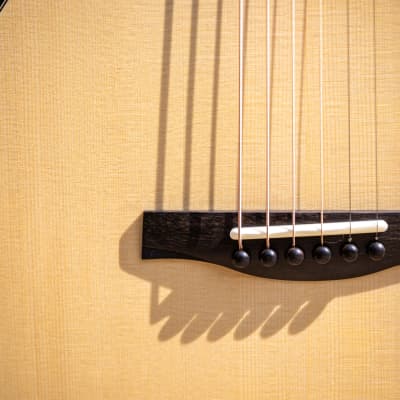 Salz Guitars PS 2023 - Swiss moon spruce & Indian rosewood image 9