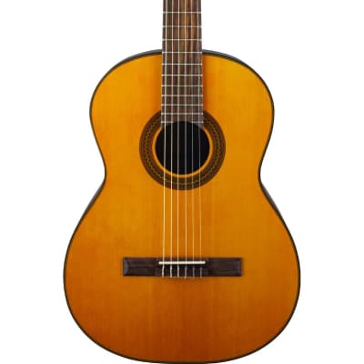 Fernandes Takamine GC-30 Grand Concert Classical Acoustic Guitar