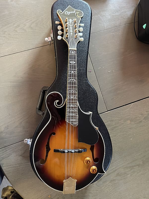 Ozark Electroacoustic Mandolin 2255E With Hard Case Reverb UK