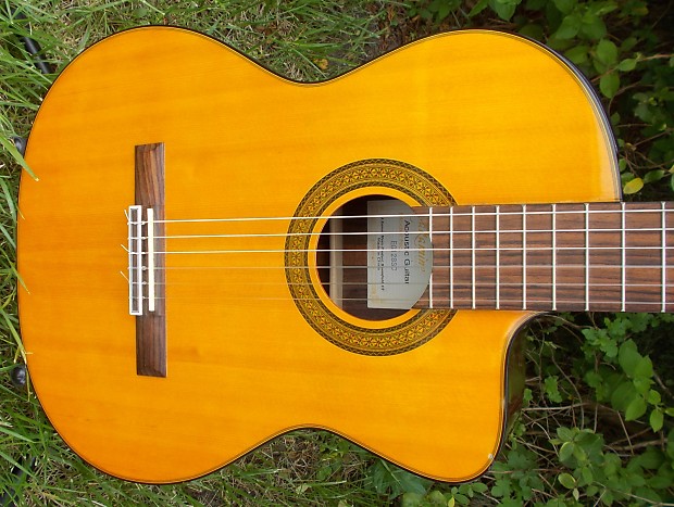 Takamine eg 128 on sale