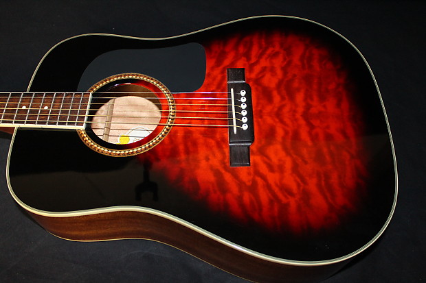 Washburn d100sb deals
