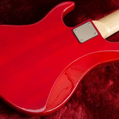 woofy basses Poodle5 Red【兵庫店】 image 9